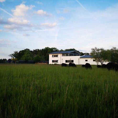 Landhaus Kirchberg Nardt Zewnętrze zdjęcie